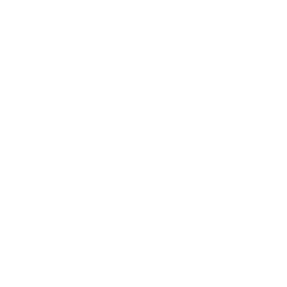 icon bewaaroplossingen