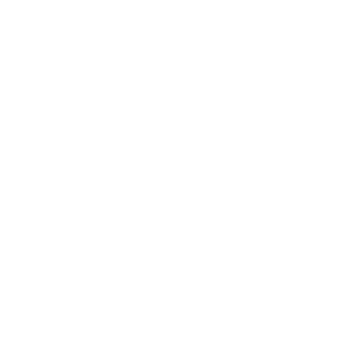 icon food